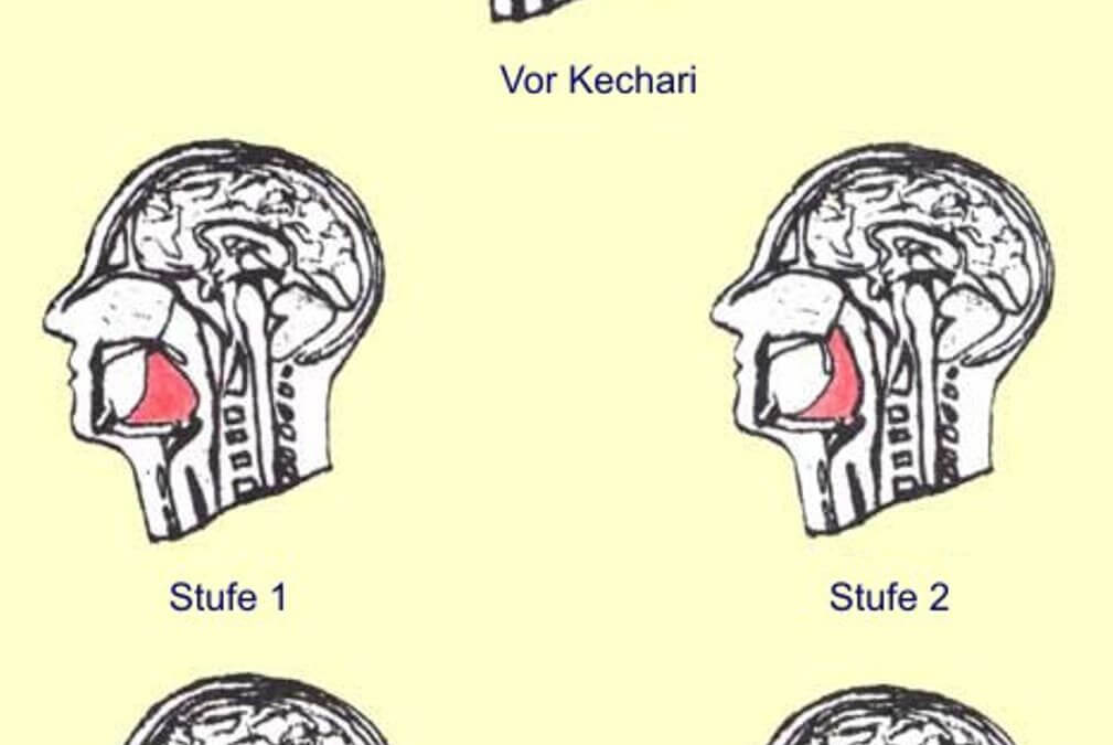 20 Kechari Mudra richtig anwenden: Tiefer in Kriya Yoga mit Talabya Kriya, Praxisaufbau & Einweihung